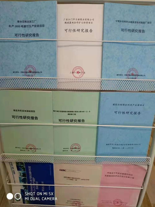 北戴河社会稳定风险评估报告编写与市场营销策划 专业机构的全方位服务解析